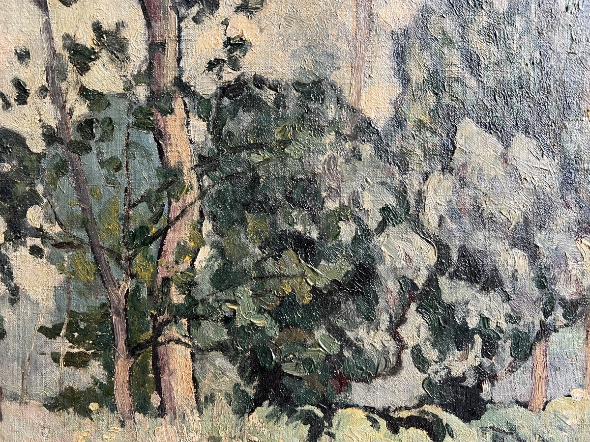 Louis Valtat, Landscape Painter, Chevreuse Valley -photo-3