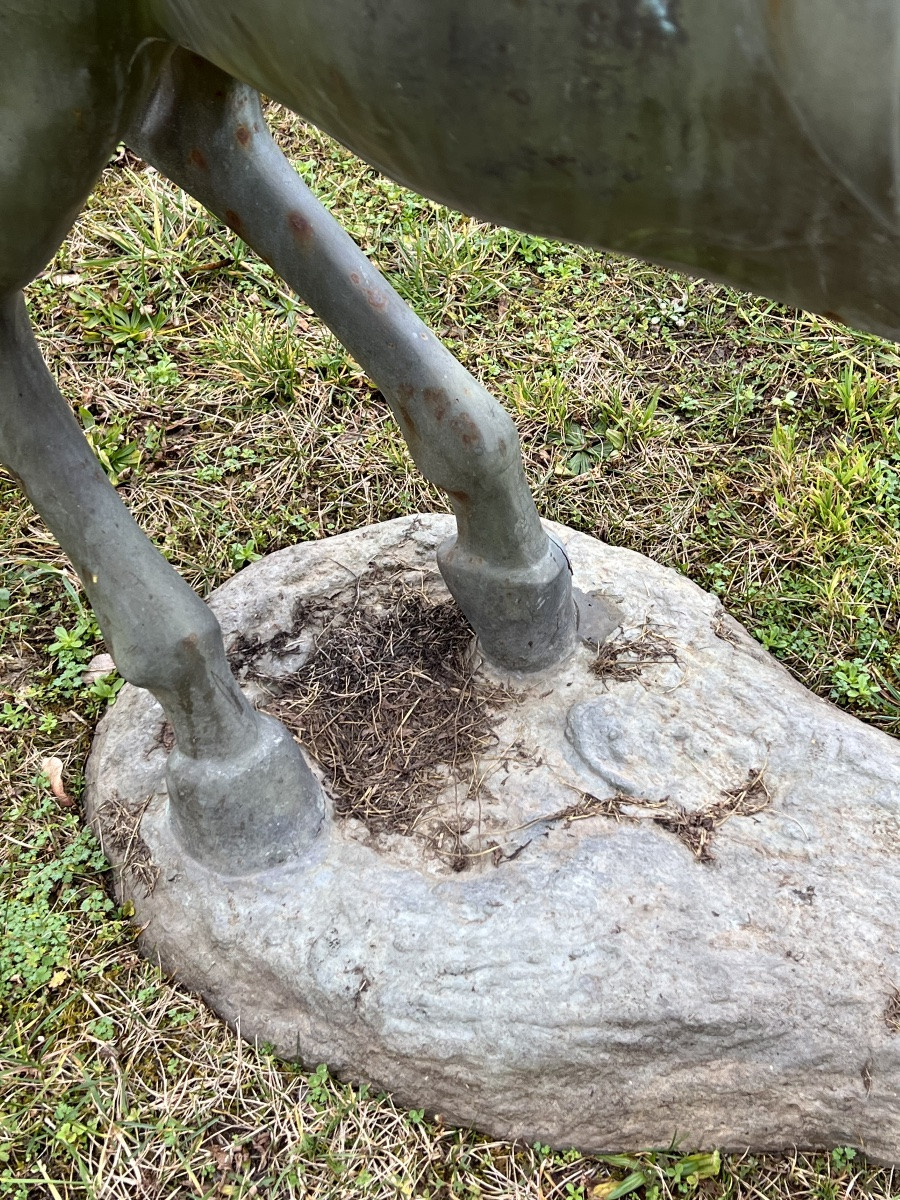 Cheval en bronze  sculpture hippisme course  équitation -photo-4