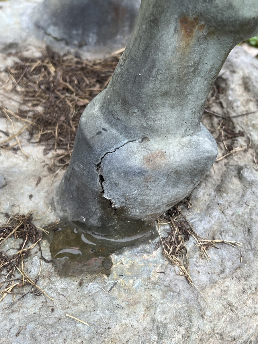 Cheval en bronze  sculpture hippisme course  équitation -photo-1