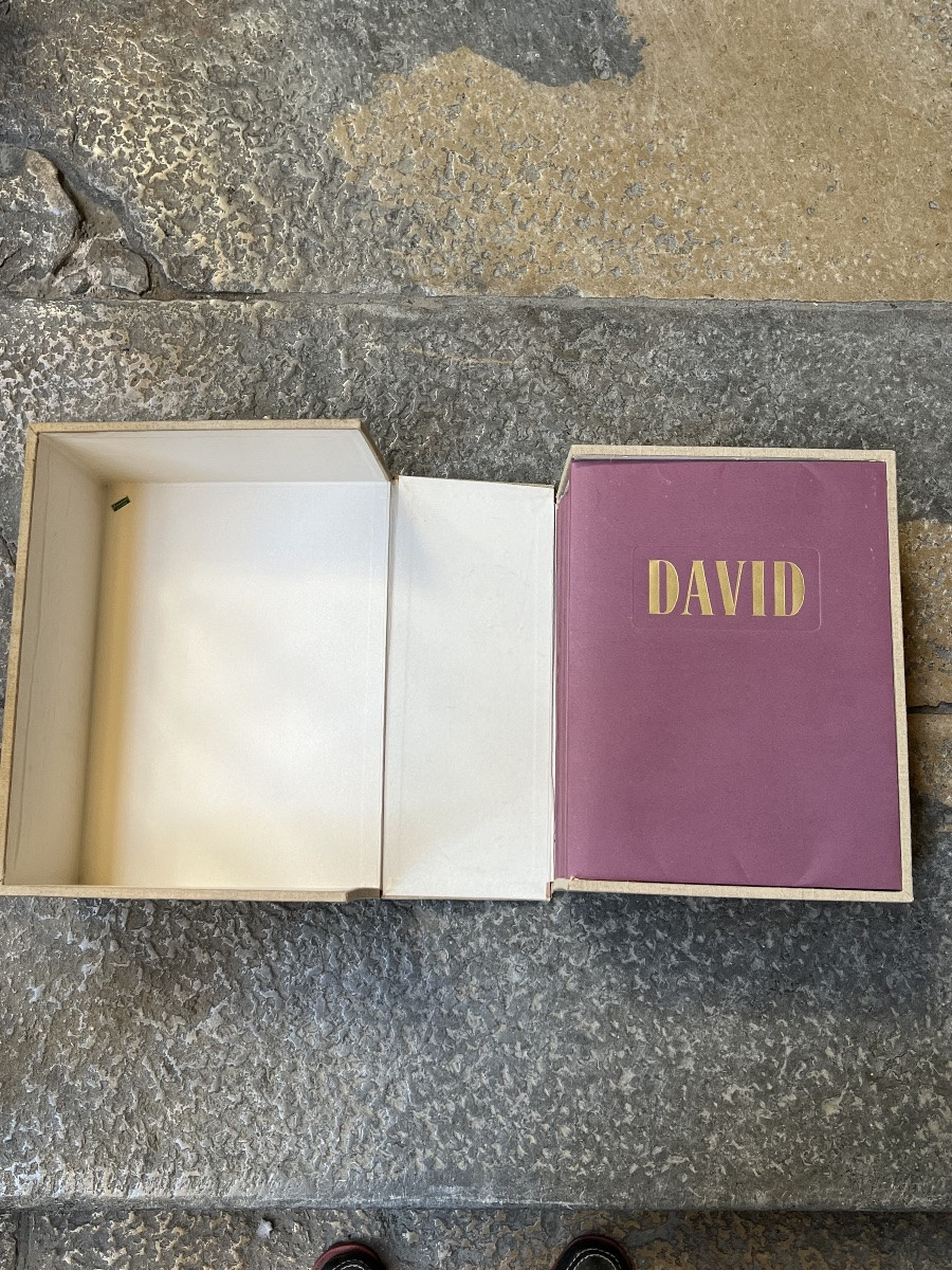 Deluxe Edition Box Set Jacques Louis David Drawing Book Raoul Solar-photo-4