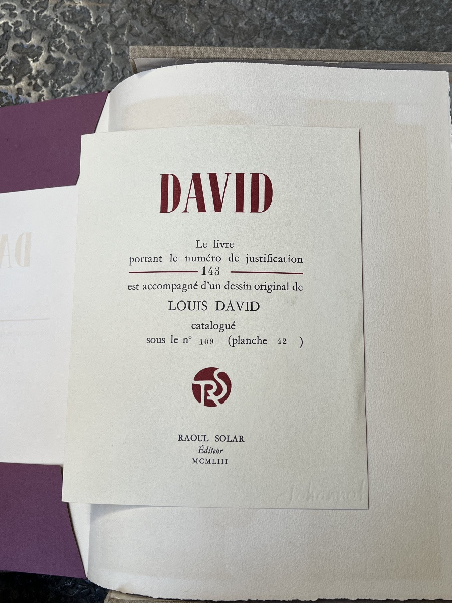 Deluxe Edition Box Set Jacques Louis David Drawing Book Raoul Solar-photo-5