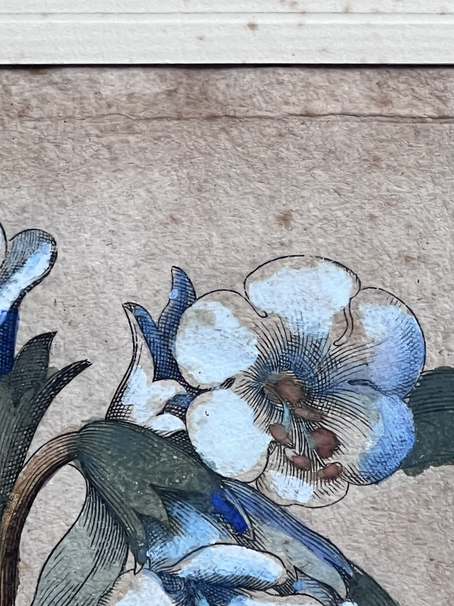 17th Century Print Basilius Besler Botanical Engraving Herbarium-photo-3