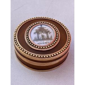 Gold And Horn Box 18th Century Pill Box Gold
