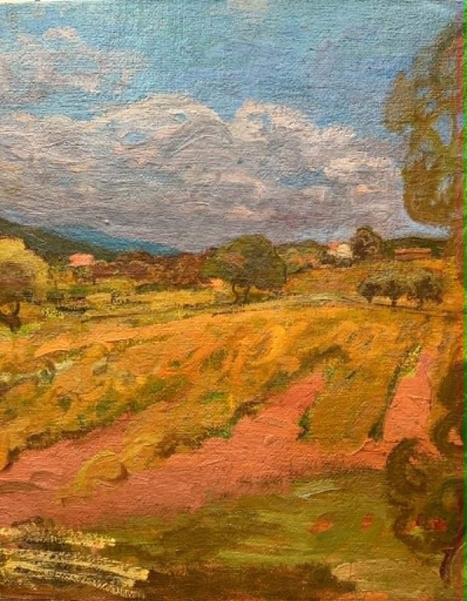 Zygmunt LANDAU (1898 – 1962) - Peintre Polonais - Paysage de Provence Huile/toile SBG 54x73 cm -photo-3
