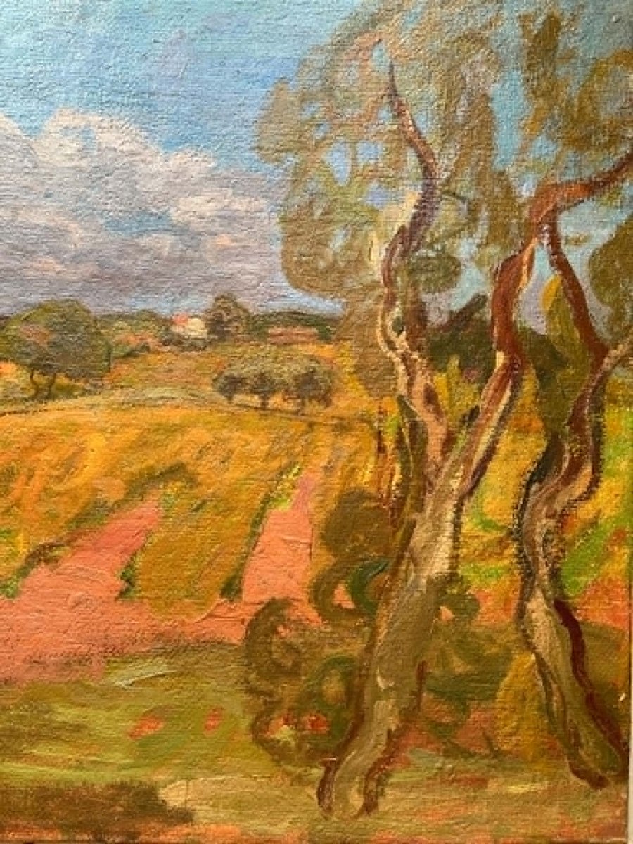 Zygmunt LANDAU (1898 – 1962) - Peintre Polonais - Paysage de Provence Huile/toile SBG 54x73 cm -photo-4