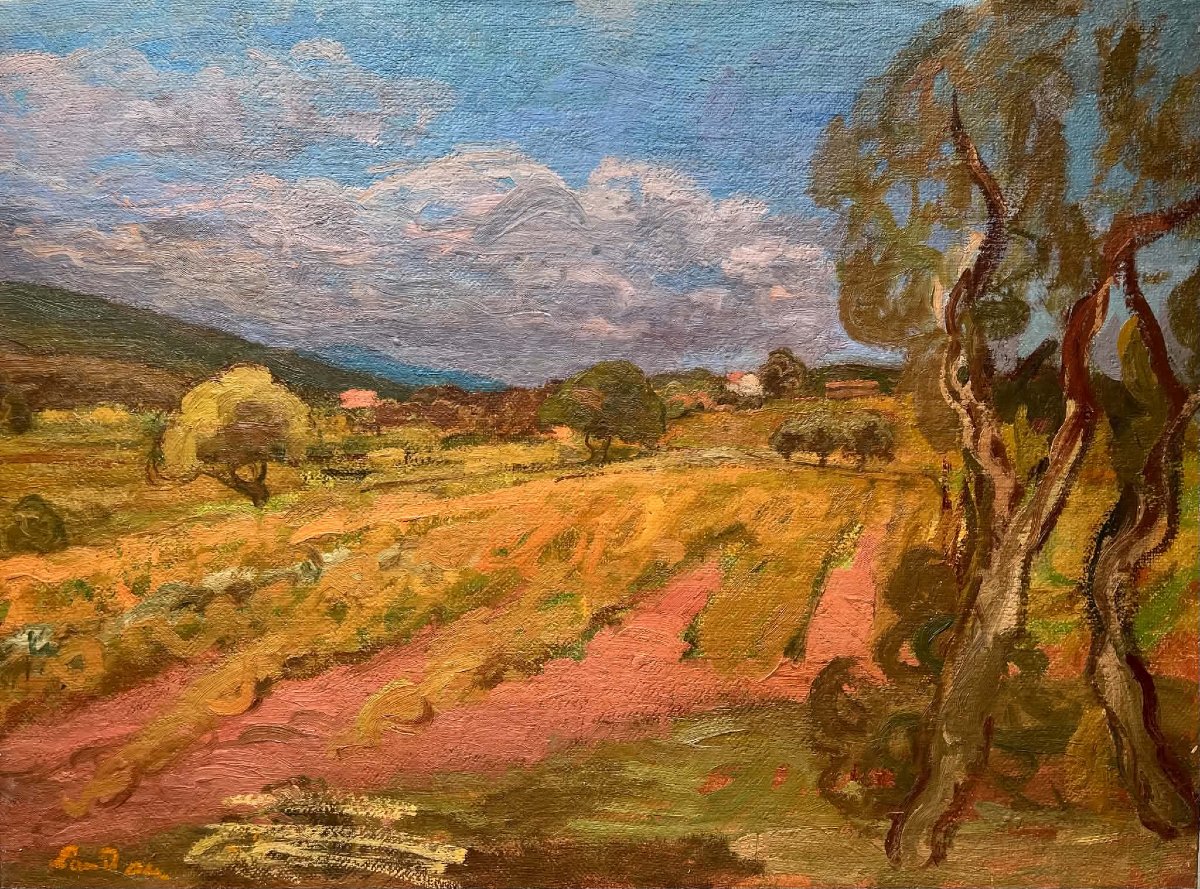 Zygmunt LANDAU (1898 – 1962) - Peintre Polonais - Paysage de Provence Huile/toile SBG 54x73 cm 