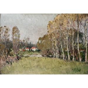 Pierre Eugene MONTEZIN (1874  – 1946 ) « Paysage aux bouleaux » Huile sur toile  32x44,5 cm