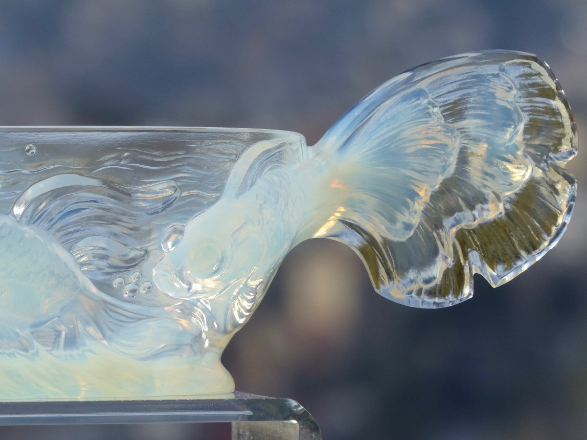 Coupe Opalescente Signée Verlys -photo-2