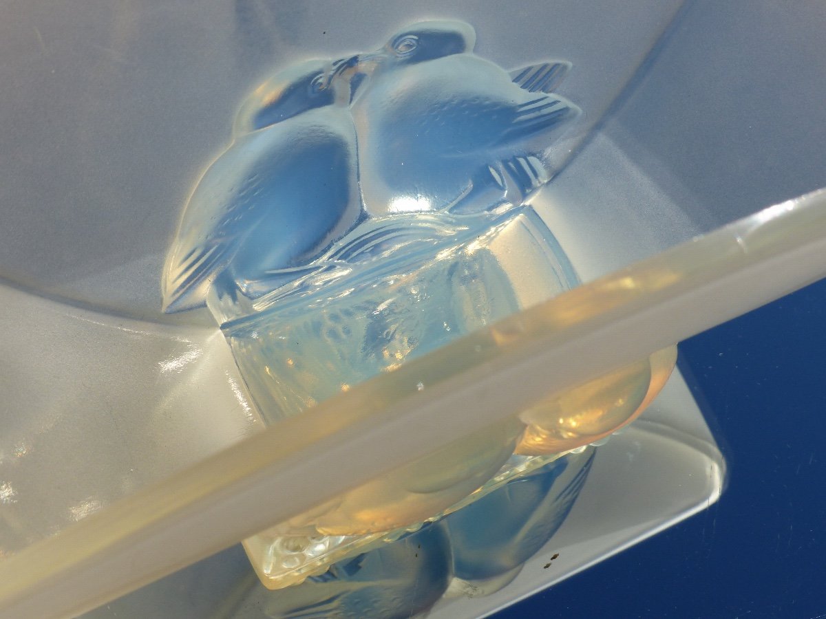 Jardinière Verlys Opalescente -photo-5