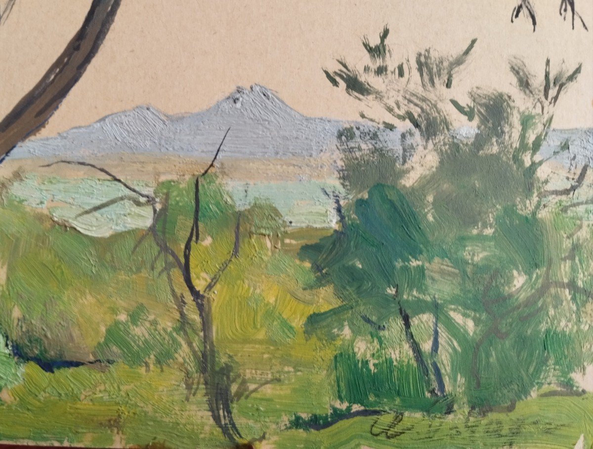 André Lemoigne " Vue De Tunis , Le Bou Kornine" Huile Sur Carton-photo-3