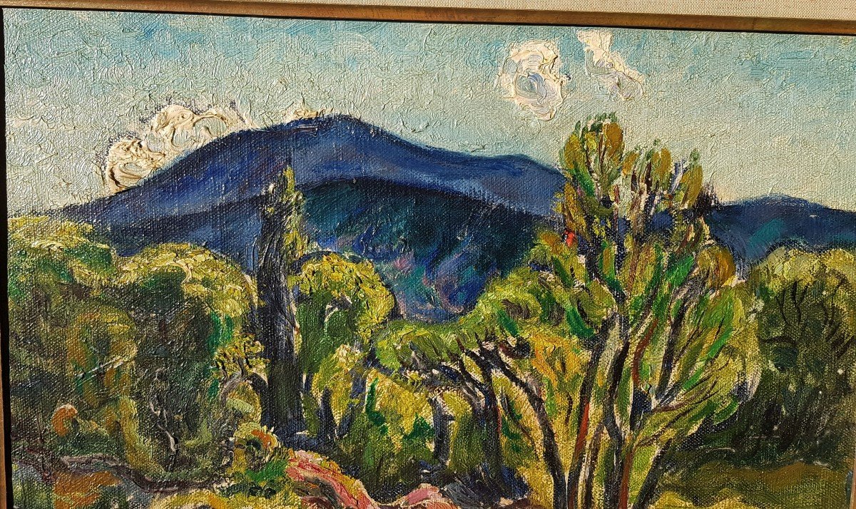 René Seyssaud (1867-1952) Edge Of The River And The Blue Mountain-photo-3