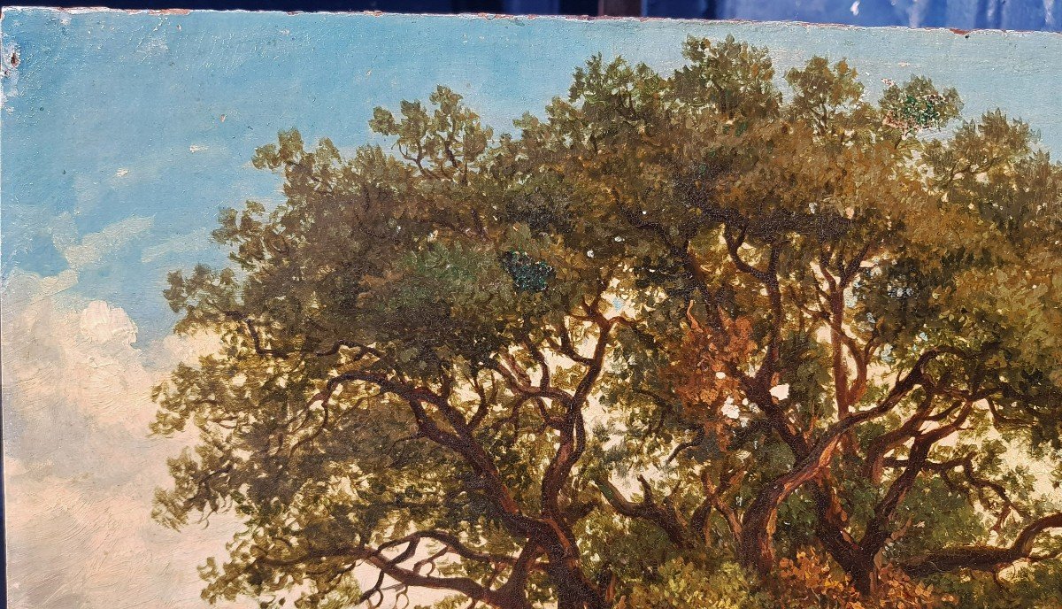 Belgian School 1852 The Large Oak In Virelles-photo-2