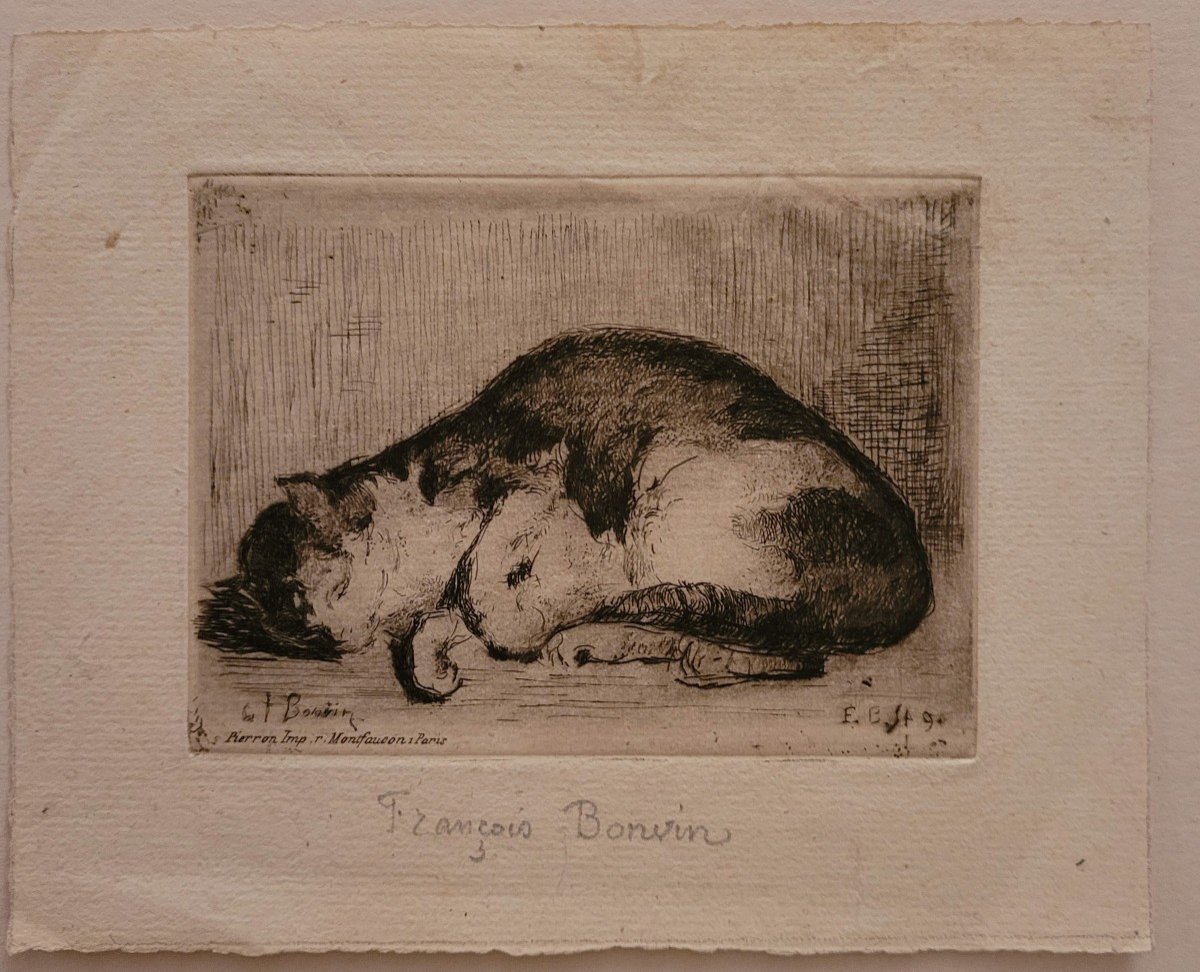  François Bonvin (1817 - 1887) Sleeping Cat-photo-2