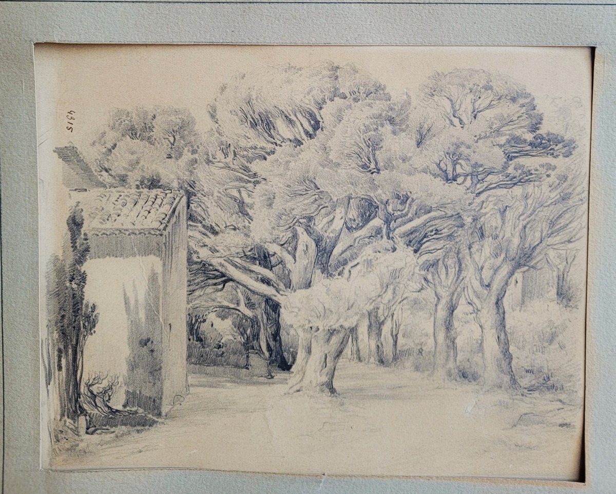 Félix Ziem (1821-1911) The Pine Avenue-photo-2