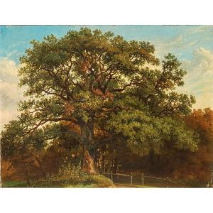 Belgian School 1852 The Large Oak In Virelles