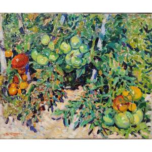 Augustin CARRERA  (1878-1952) Les tomates 1909