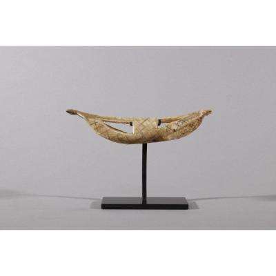 Asmat Nose Ornament