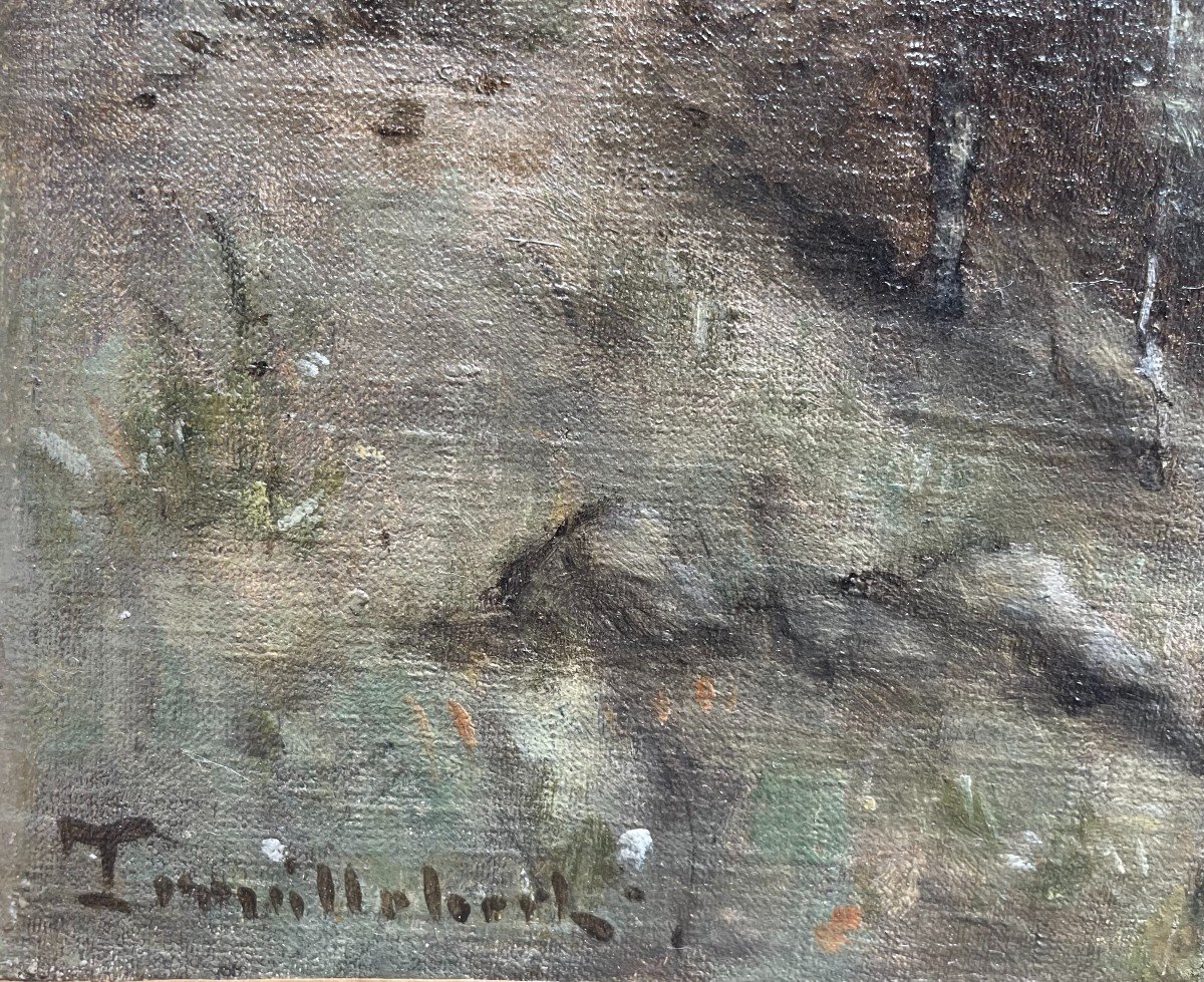 Paul Désiré Trouillebert, Peasant Woman Near The Rocks.-photo-1