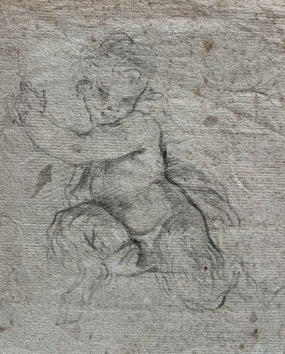 Carlo Cignani (1628-1719), Etude de satyre enfant