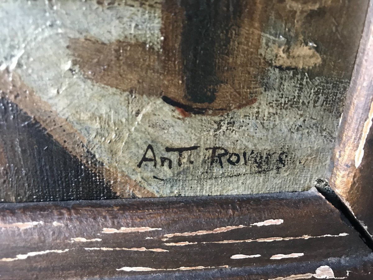 Ant. Rovers-photo-2
