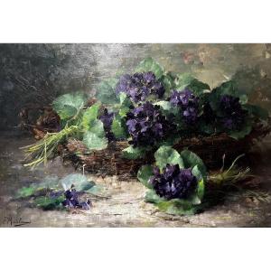 Frans Mortelmans