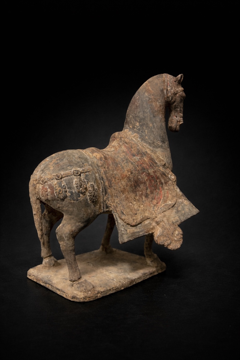 Chine - Cheval caparaçonné - Wei du Nord - TL-photo-4