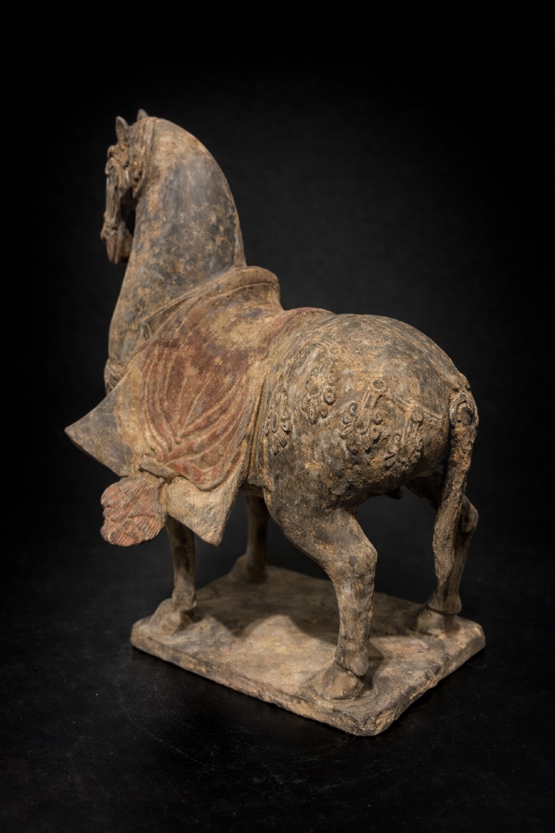 Chine - Cheval caparaçonné - Wei du Nord - TL-photo-2