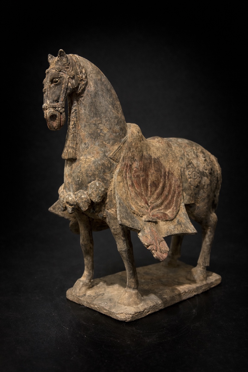 Chine - Cheval caparaçonné - Wei du Nord - TL