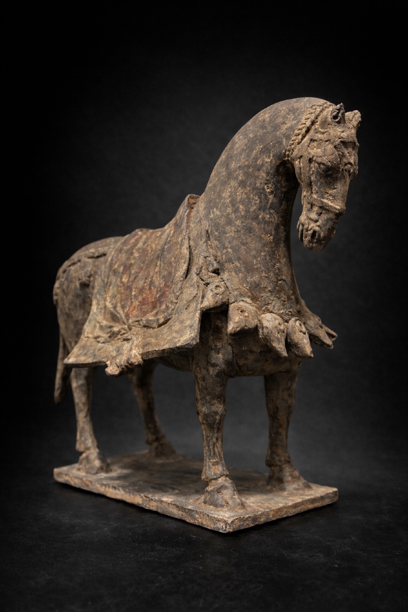 Chine - Cheval caparaçonné - Wei du Nord - TL-photo-3