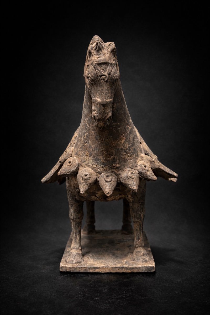 Chine - Cheval caparaçonné - Wei du Nord - TL-photo-1