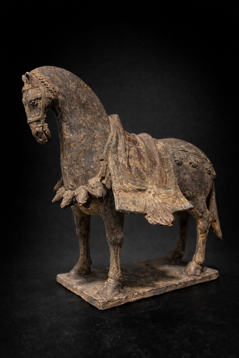 Chine - Cheval caparaçonné - Wei du Nord - TL-photo-2