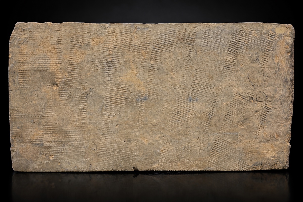 Chine -  Linteau Funéraire à tatoue et dragons - Dynastie Han - TL-photo-1