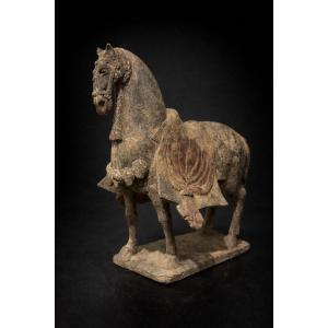 Chine - Cheval caparaçonné - Wei du Nord - TL