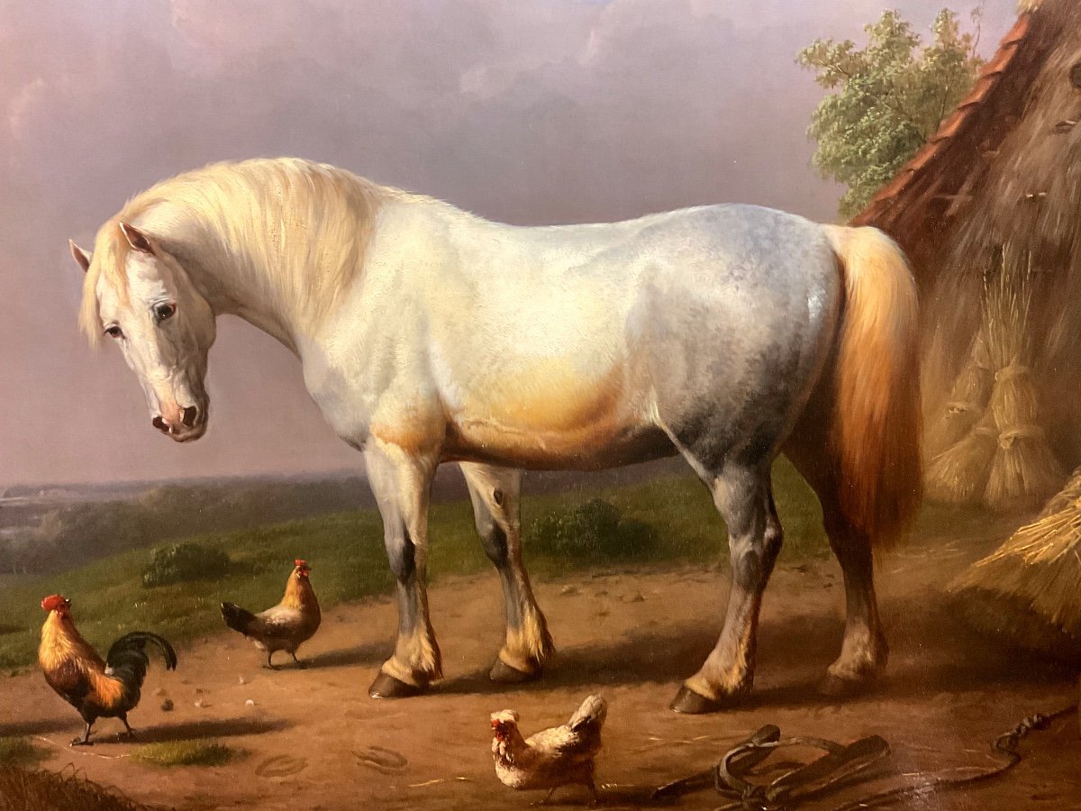 Franz Van Severdonck (1809-1889) “the White Stallion” Oil On Mahogany Panel -photo-2