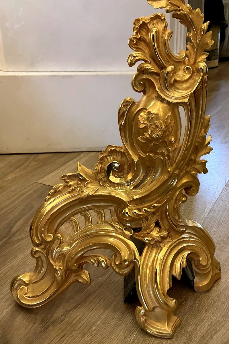 Chenets de cheminée décoratif  de style Louis XV en bronze doré-photo-2