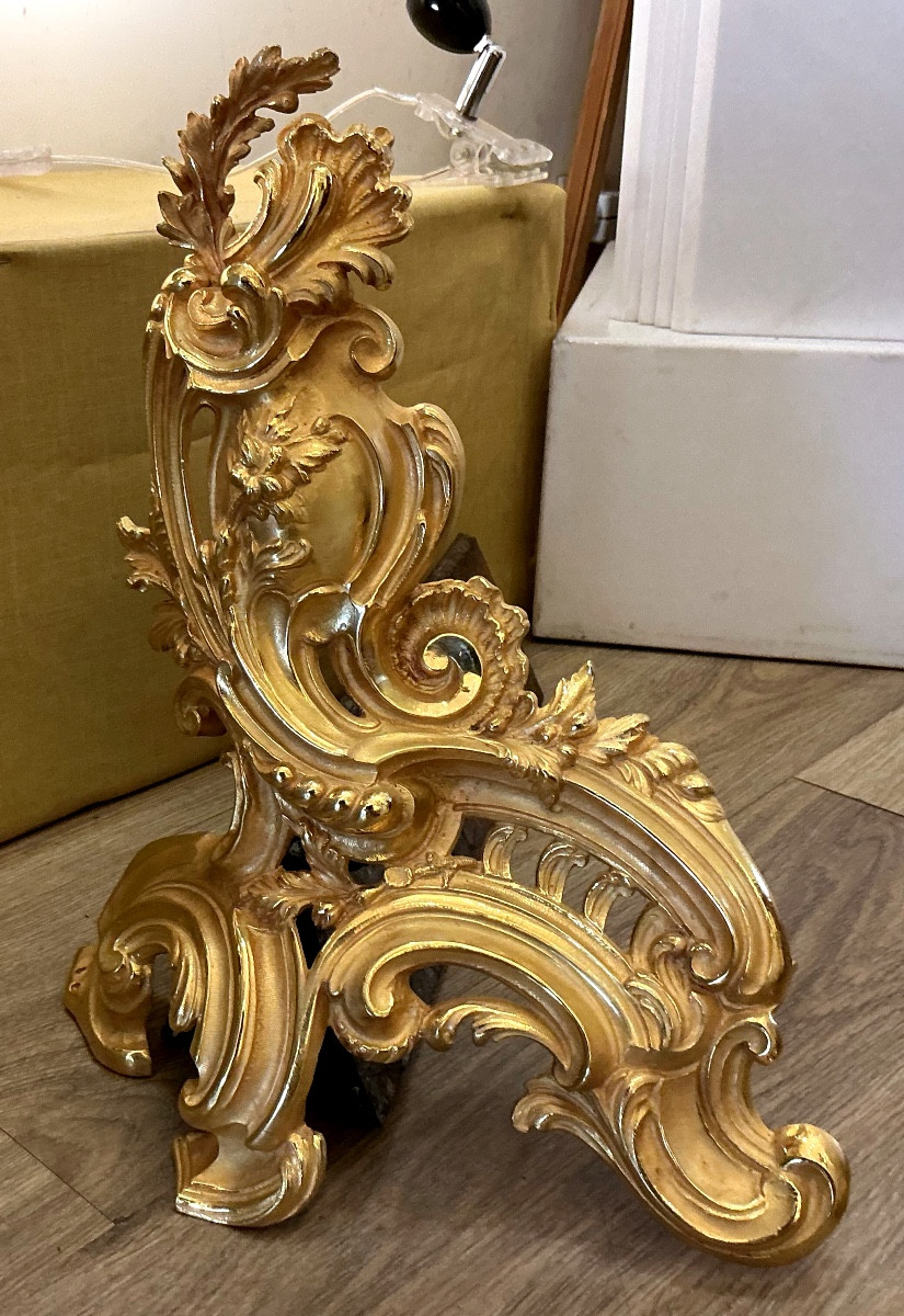 Chenets de cheminée décoratif  de style Louis XV en bronze doré-photo-3