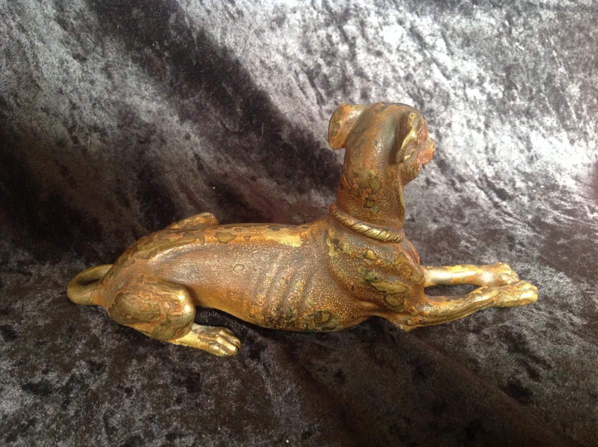 Un Lévrier, Bronze de Vienne épreuve du XIXème-photo-2