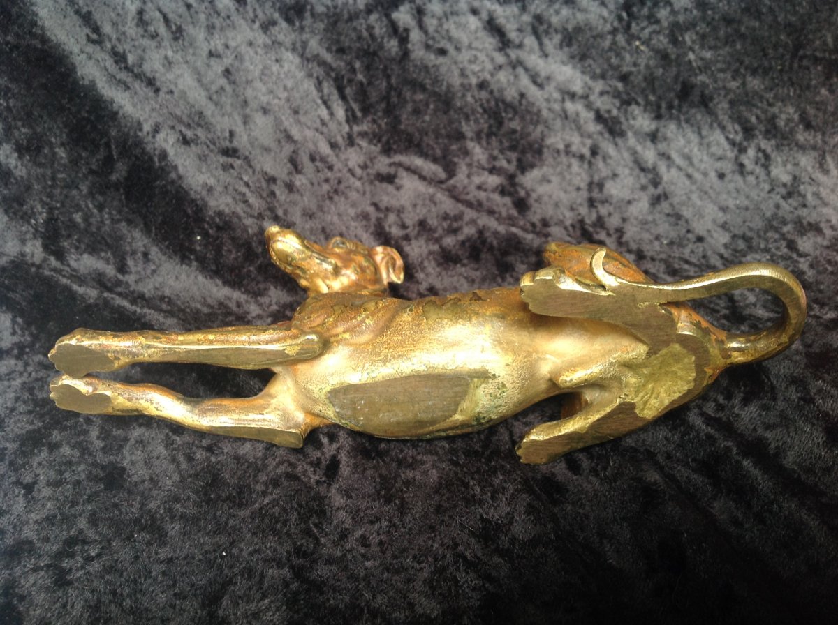 Un Lévrier, Bronze de Vienne épreuve du XIXème-photo-3