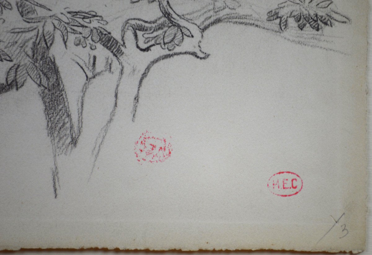 Henry Edmond Cross 1856-1910. "study Of Foliage And Landscape."-photo-2