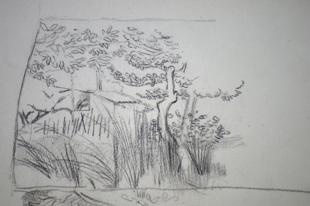 Henry Edmond Cross 1856-1910. "study Of Foliage And Landscape."-photo-3