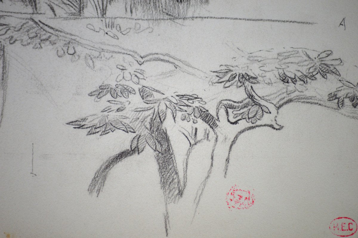 Henry Edmond Cross 1856-1910. "study Of Foliage And Landscape."-photo-4