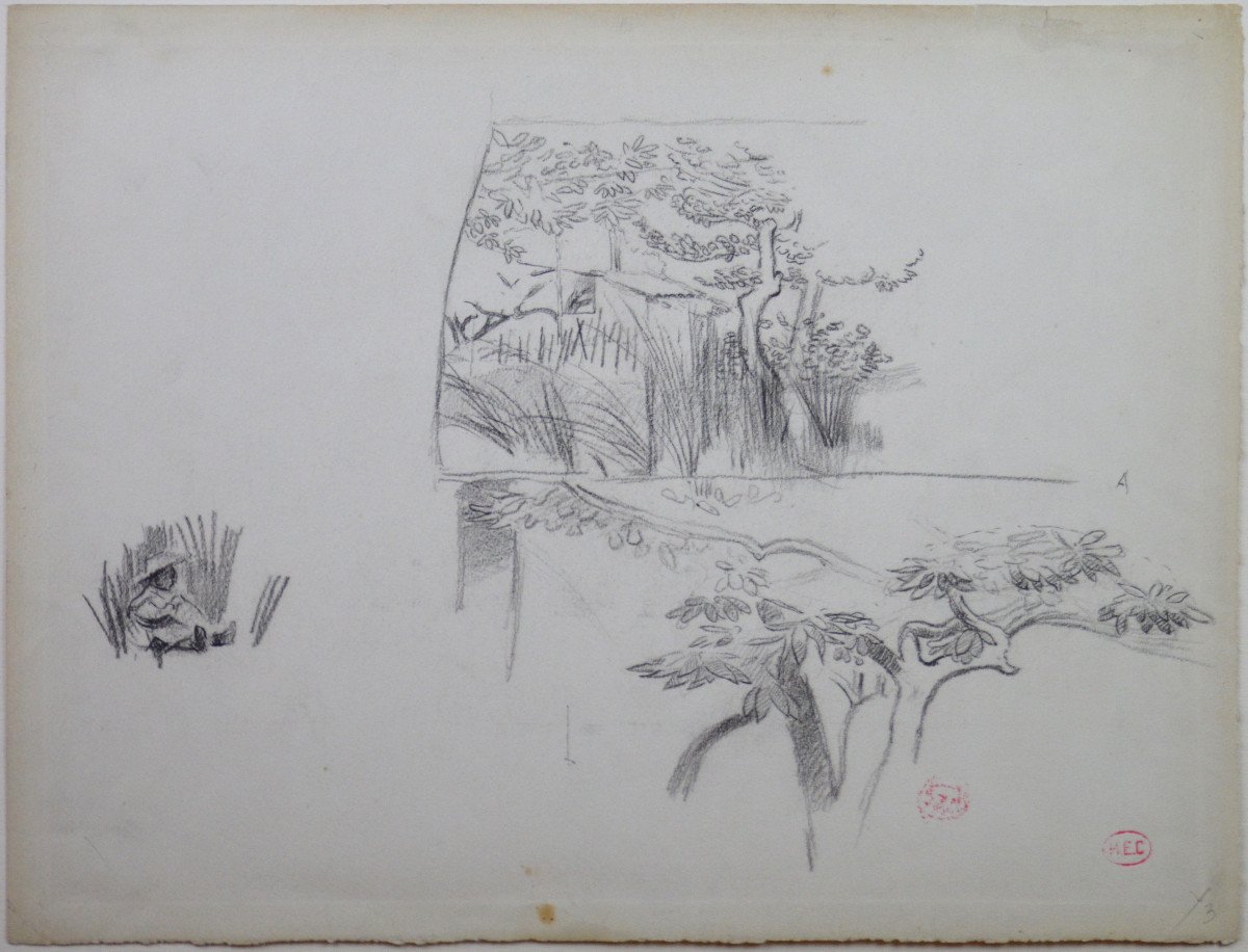 Henry Edmond Cross 1856-1910. "study Of Foliage And Landscape."