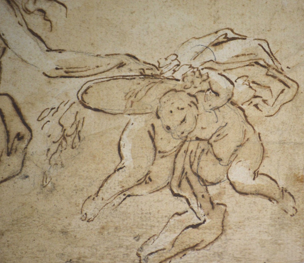 Italian School 17th Century. “study For A Ceiling.”-photo-4