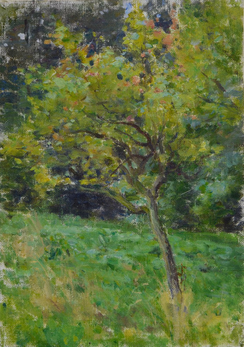 Jules Cyrille Cavé 1850-1940. "apple Tree."-photo-2