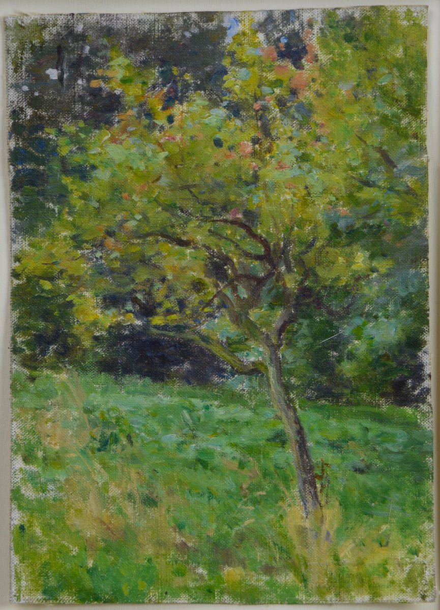 Jules Cyrille Cavé 1850-1940. "apple Tree."-photo-3