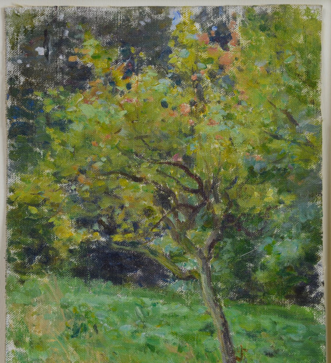 Jules Cyrille Cavé 1850-1940. "apple Tree."-photo-4