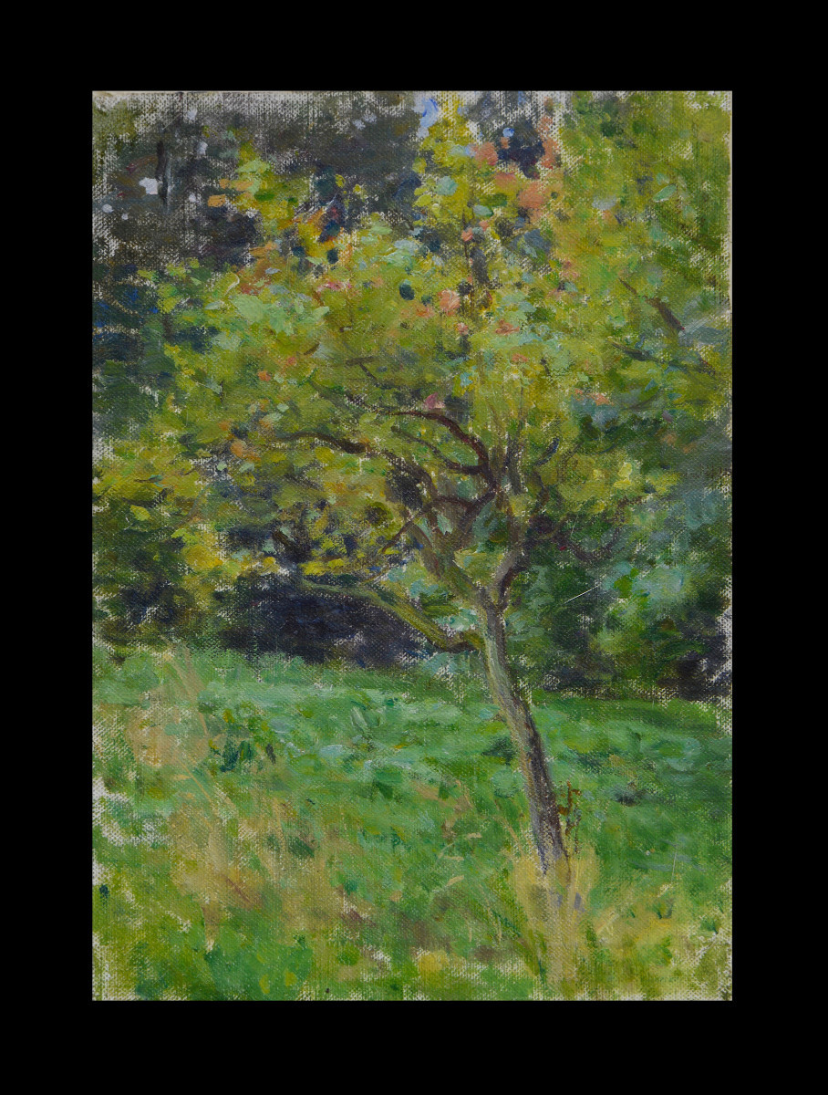 Jules Cyrille Cavé 1850-1940. "apple Tree."