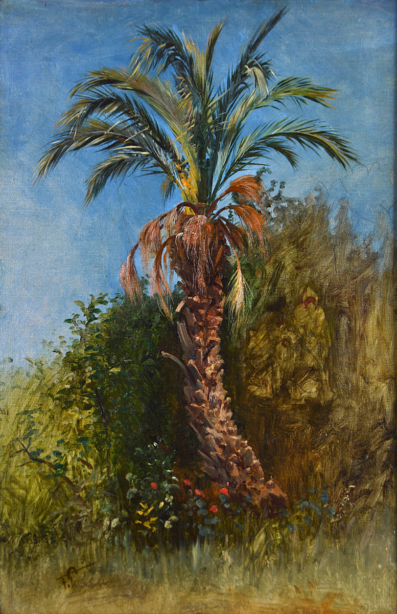 Felix Possart 1837-1928. German School. "palm Tree."-photo-3