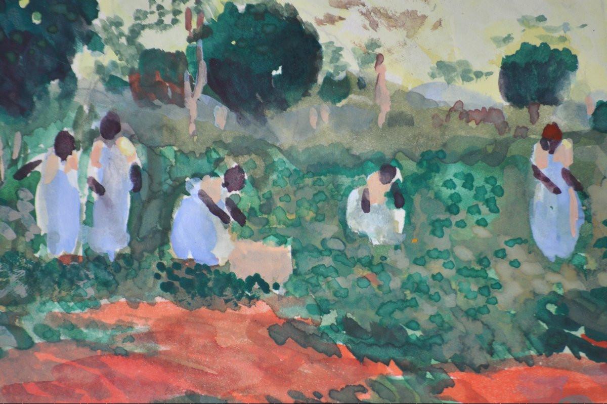 Willem Van Hasslet 1882-1963. “Récolte des pois du cap à Madagascar..”-photo-4