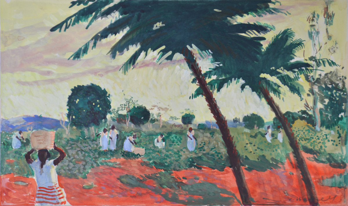 Willem Van Hasslet 1882-1963. “Récolte des pois du cap à Madagascar..”